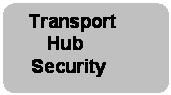 Transport Hub Security